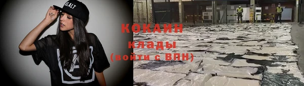 стаф Няндома