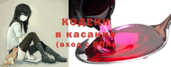 стаф Няндома