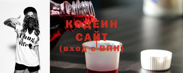 стаф Няндома