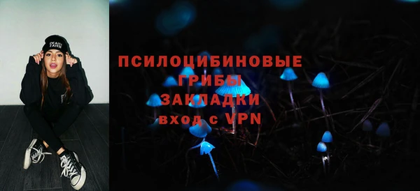 стаф Няндома