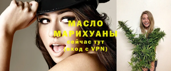 стаф Няндома