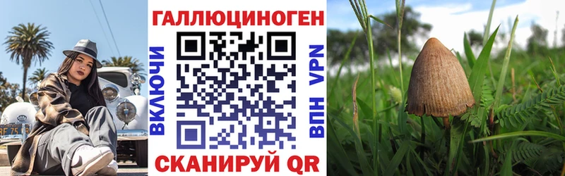 купить наркоту  Чекалин  ОМГ ОМГ рабочий сайт  Галлюциногенные грибы прущие грибы 